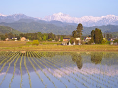 剱&田園