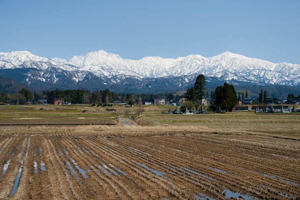 立山連峰と田園風景
