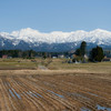 立山連峰と田園風景