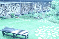 Rain in my garden