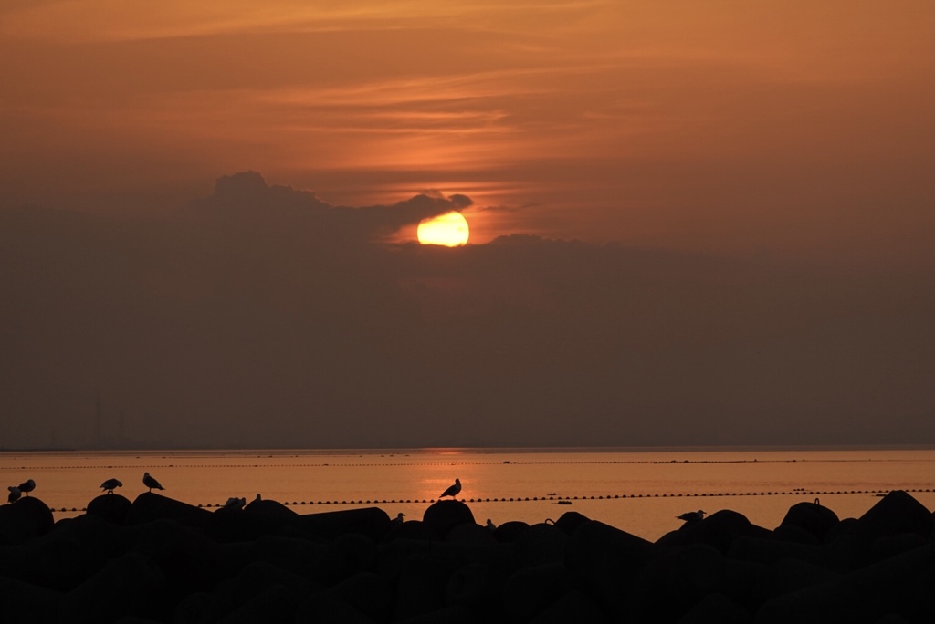 海辺の夕日