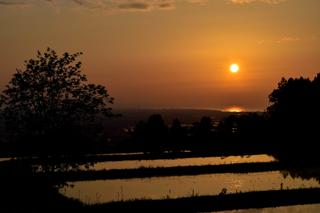 東福寺野の夕景 1