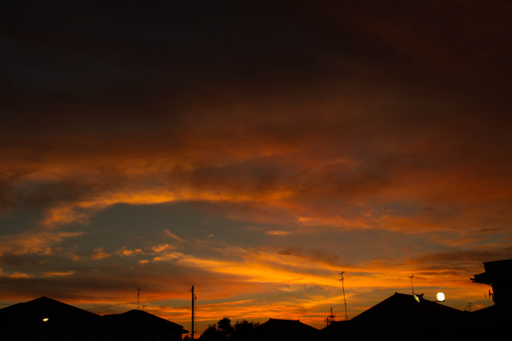 ある日の燃えるような終日