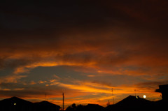 ある日の燃えるような終日