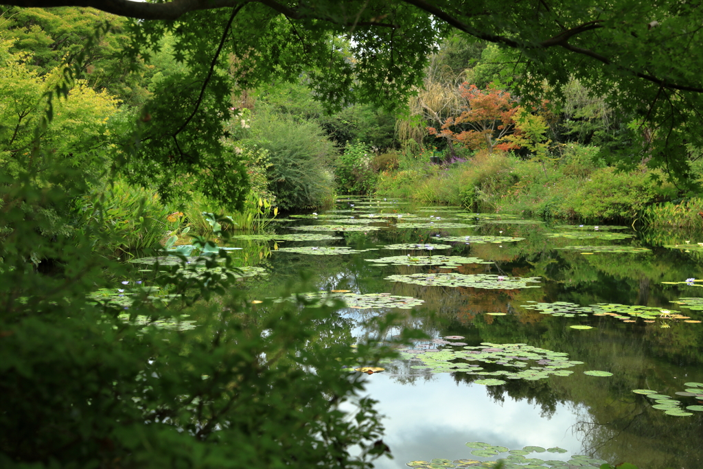 モネの庭