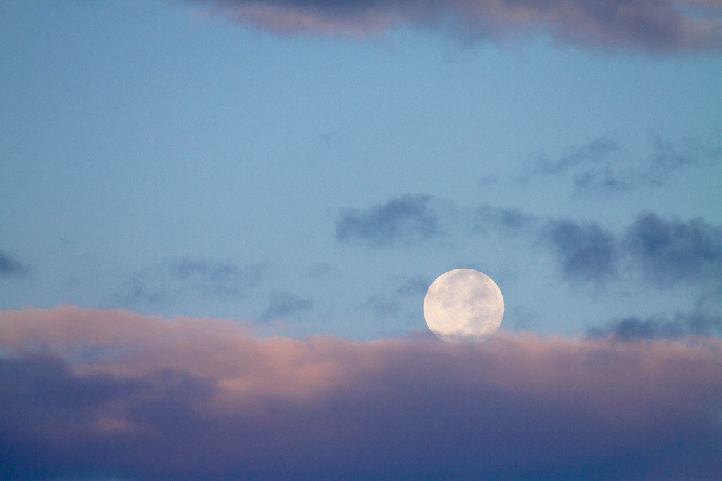 Morning Moon