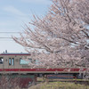 富山地鉄 春の旅