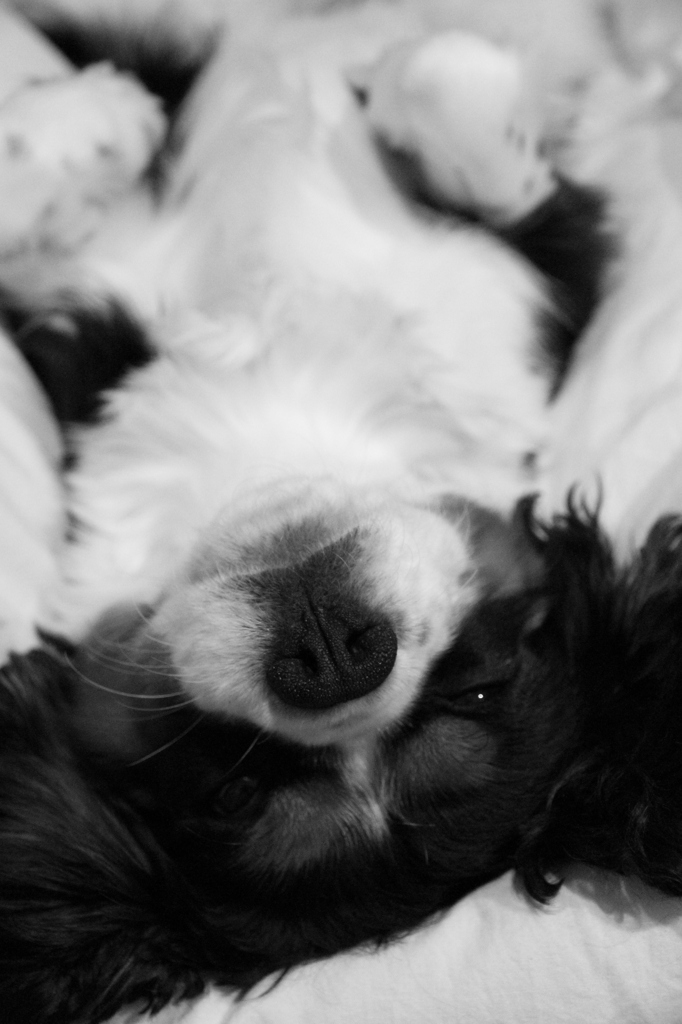 I'm sleeping