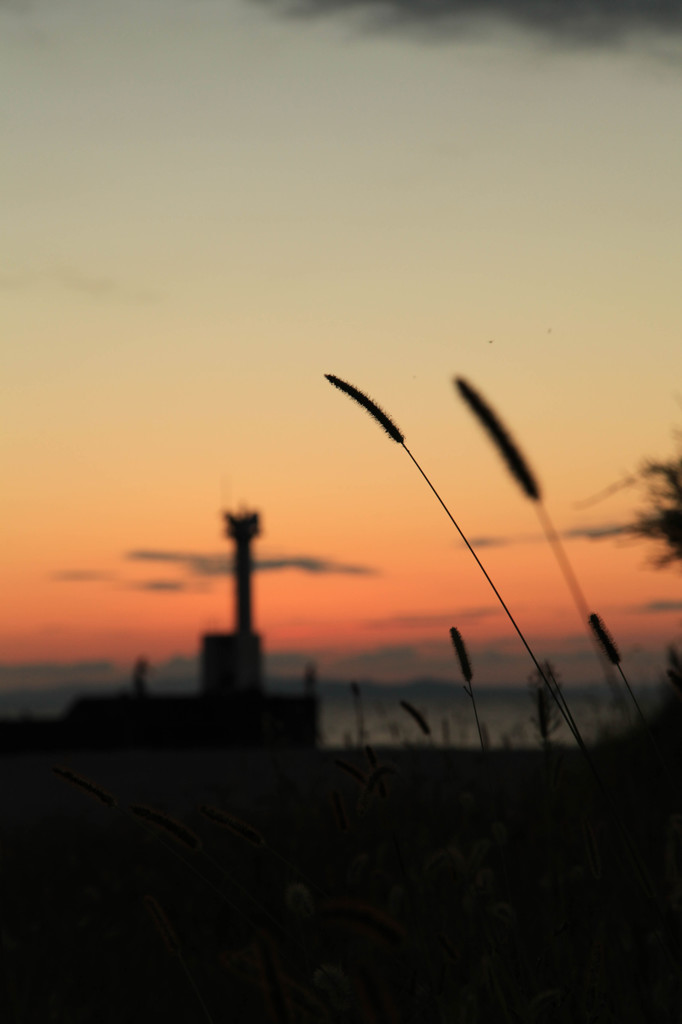 漁港の夕暮れ