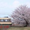 春の富山地鉄