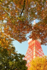 Tokyo Tower in autmun