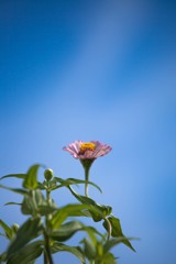 with blue sky 