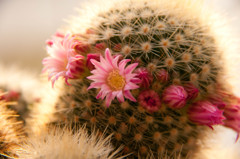 お目々パッチリ