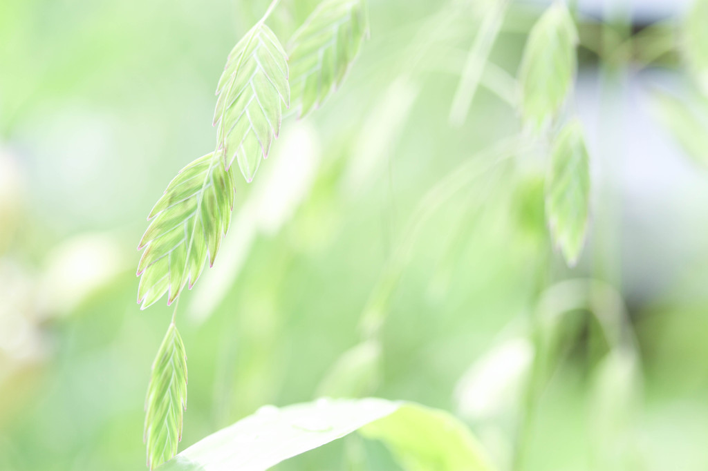 It is breezing.