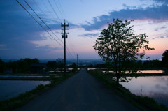 東福寺野の夕景 3