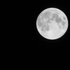 full moon