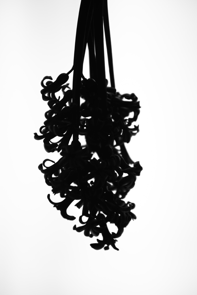 silhouette