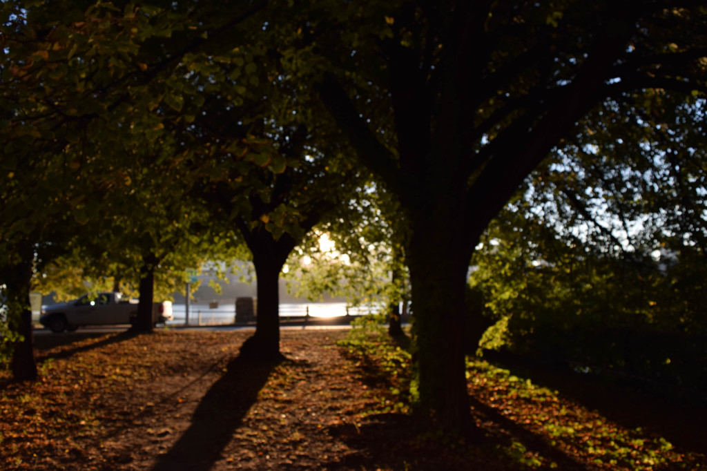 Edge of Cambridge Parkway