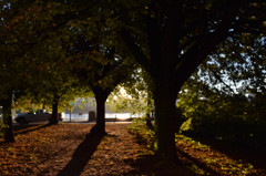 Edge of Cambridge Parkway