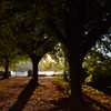 Edge of Cambridge Parkway