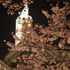 松川桜