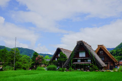 白川郷