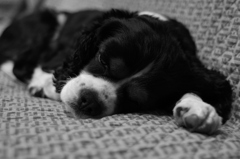 あ～、疲れた～