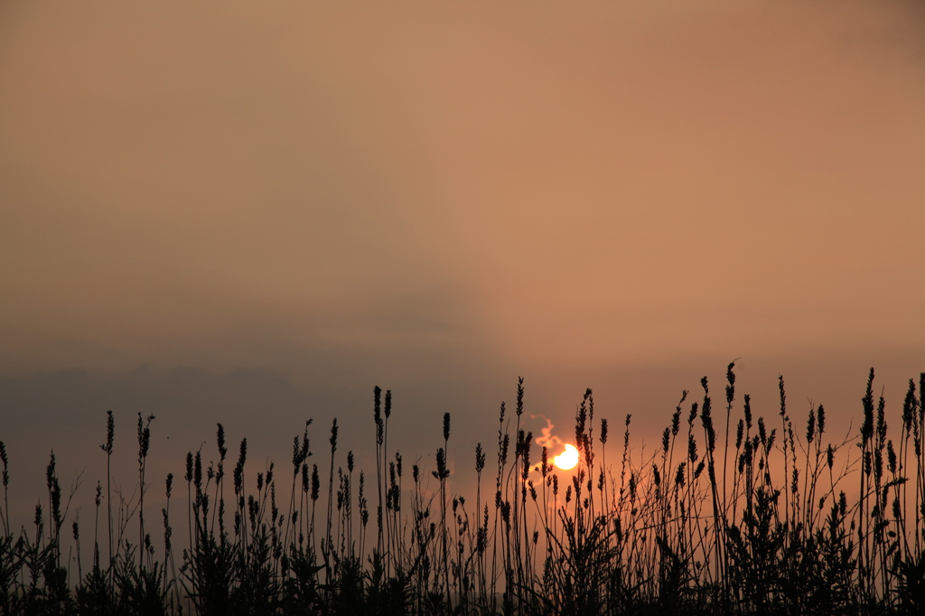 海辺の夕景