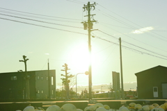 午後4時のスケボー少年