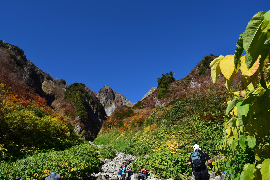 雨飾山登山　荒菅沢