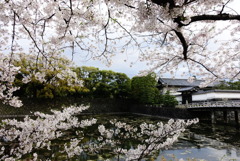 東京 春の大手町