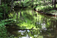 Green　River
