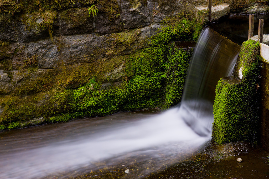 至福の時。。。