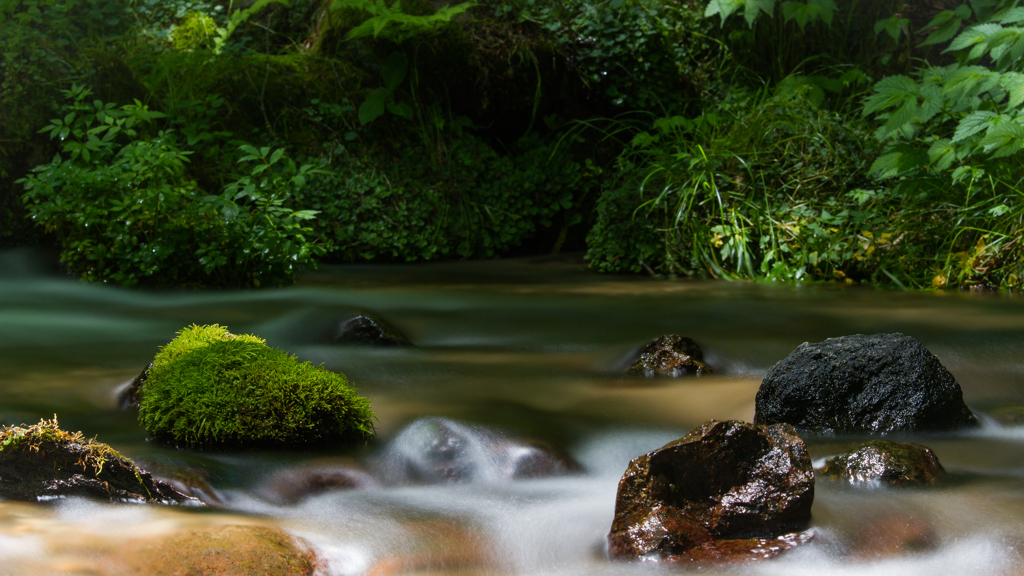  苔のある水景Ⅲ