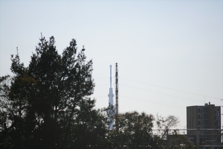 Ａｃａｌｌ　１８０ｍｍＦ３．５開放140222-141604-ZR0C4944_