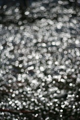 Ａｃａｌｌ　１８０ｍｍＦ３．５開放140222-142357-ZR0C4959_