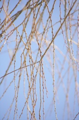 140209-143654-ZR0C4505_R