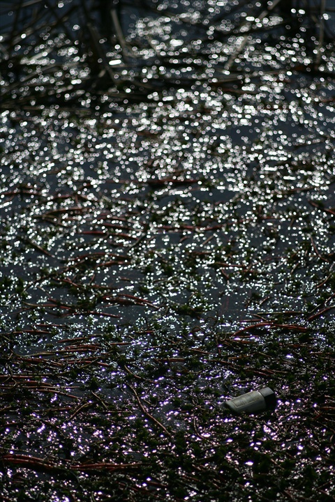 Ａｃａｌｌ　１８０ｍｍＦ３．５開放140222-142403-ZR0C4961_