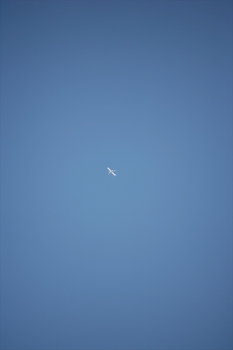 Ａｃａｌｌ　１８０ｍｍＦ３．５開放140222-142026-ZR0C4952_