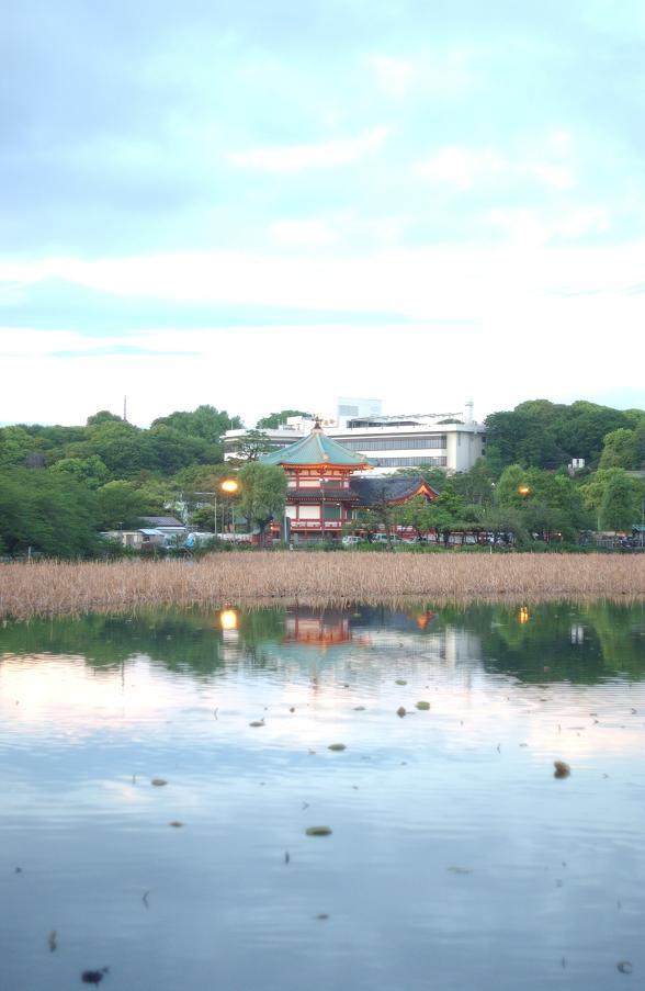 上野、不忍池（しのばずのいけ）