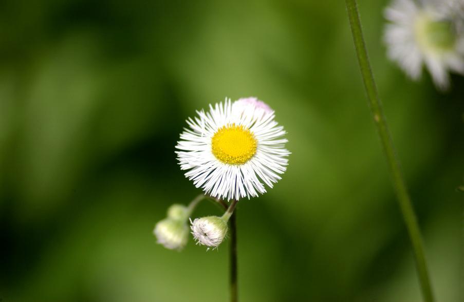 20120512草
