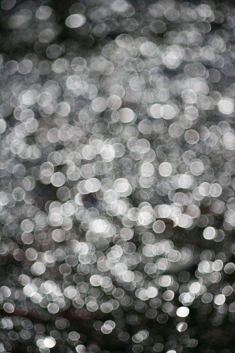 Ａｃａｌｌ　１８０ｍｍＦ３．５開放140222-142355-ZR0C4958_