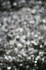 Ａｃａｌｌ　１８０ｍｍＦ３．５開放140222-142355-ZR0C4958_