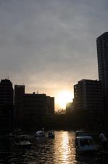 しのばずのいけ、夕日。