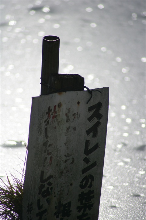 140209-150236-ZR0C4541_R