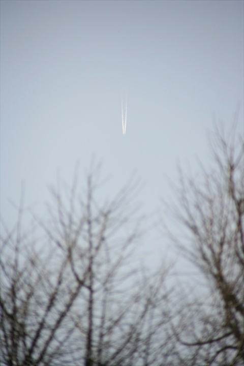 140209-145401-ZR0C4533_R