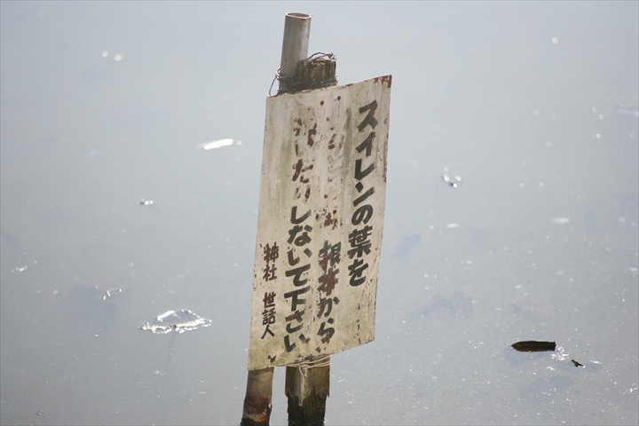 Ａｃａｌｌ１８０ｍｍＦ３．５開放140222-141350-ZR0C4942_R