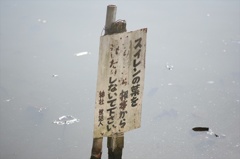 Ａｃａｌｌ１８０ｍｍＦ３．５開放140222-141350-ZR0C4942_R