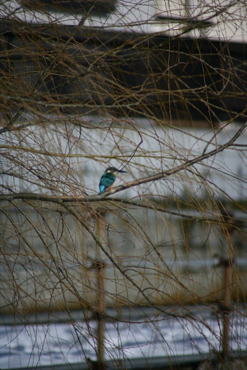 140209-152818-ZR0C4559_R