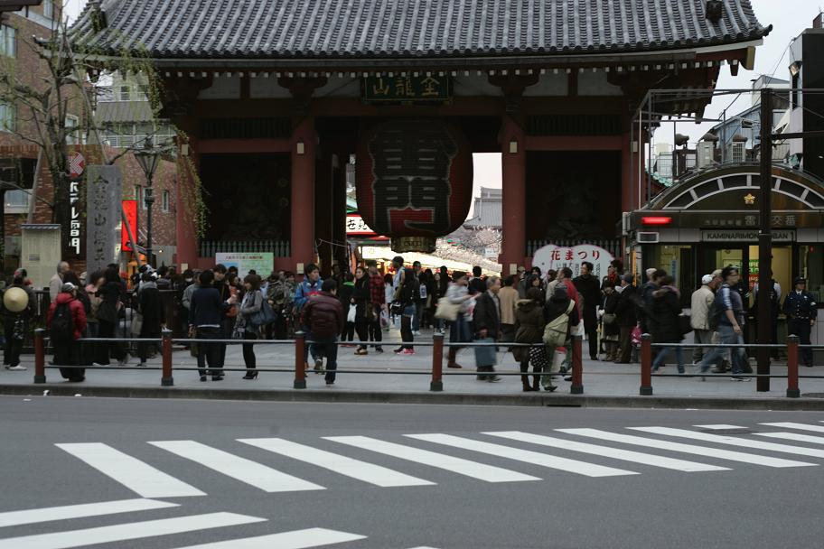 ライトアップちょっと前